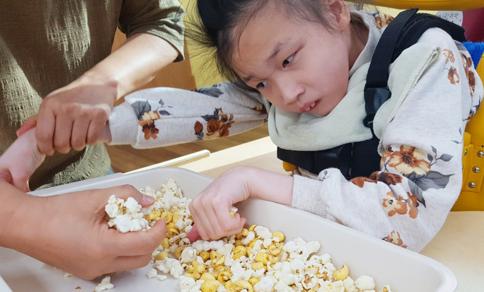 교육 및 연구사업