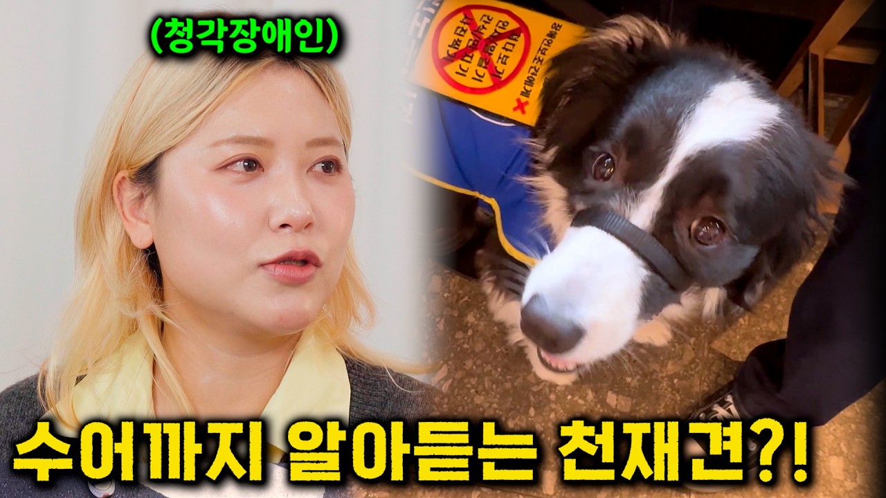 [알티비/아는친구] 청각장애인 보조견 ‘도도’와 혜진씨의 유쾌한 일상!