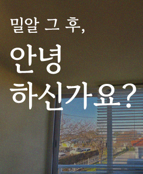 [지원후기] 밀알 그 후, 안녕하신가요?