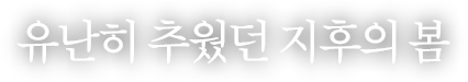 유난히 추웠던 지후의 봄