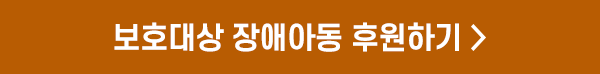 보호대상 장애아동 후원하기 >
