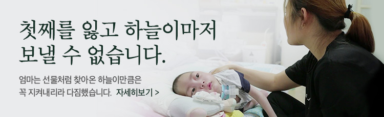 국내 장애아동 지원