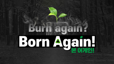 세계 기상의 날을 맞이하여 기빙플러스 찐-환경 ‘Born Again!’ 캠페인을 진행합니다!