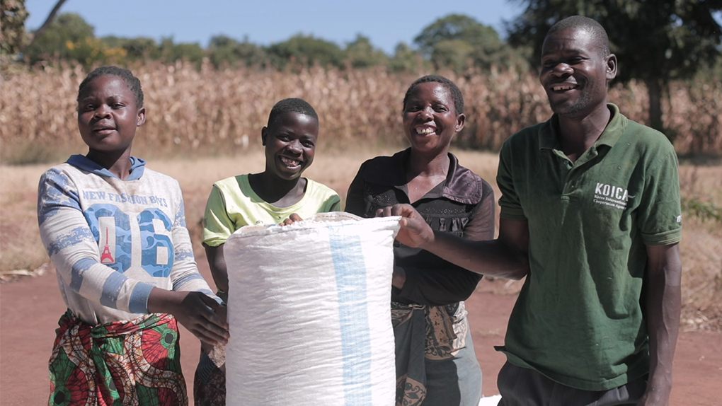 말라위 공동농장에 나타난 푸르른 변화