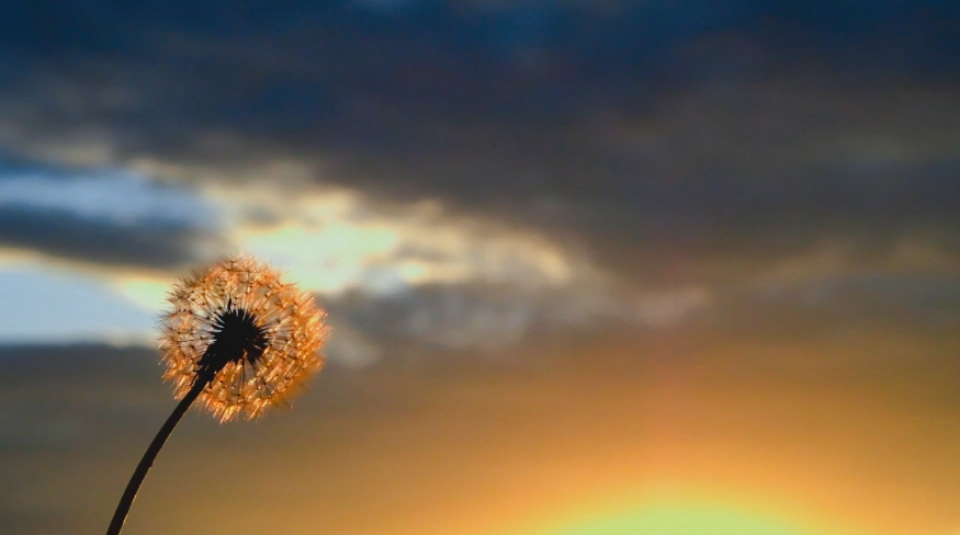 2018 밀알복지재단 홍보영상